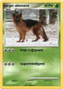 berger allemand