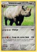 Rhinoceroses