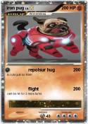 iron pug