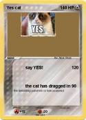 Yes cat