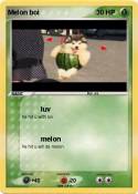 Melon boi