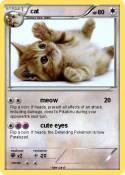 cat