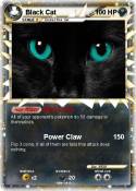 Black Cat