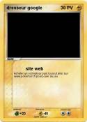 dresseur google