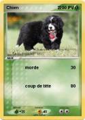 Chien 2