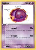 Nucleus