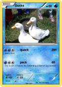 Ducks