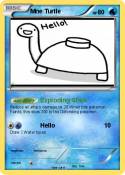 Mne Turtle