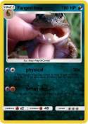 Fanged frog