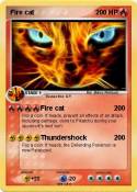 Fire cat