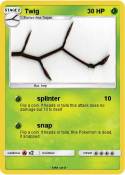 Twig