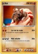 Le Rat