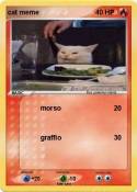 cat meme