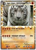 tigre blanc 999