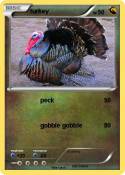 turkey