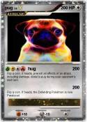 pug
