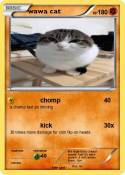 wawa cat