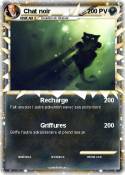 Chat noir