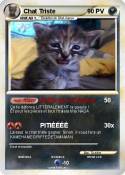 Chat Triste