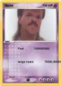 Mullet