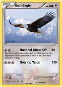 Bald Eagle
