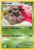 baby hedge