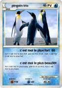 pingoin trio