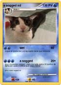 a sogged xd