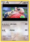 pig