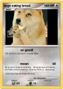 doge eating