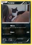 Pucapup