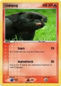 coalapug