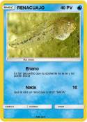 RENACUAJO