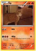 Pip