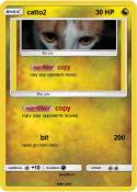 catto2