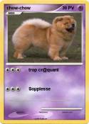 chow-chow