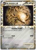 fat money cat