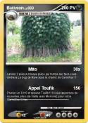 Buisson