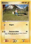 Domichu