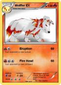 Wolffer EX