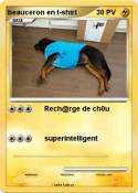 beauceron en