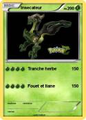 Insecateur