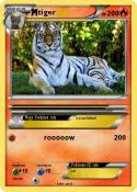 tiger