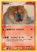 tigréon