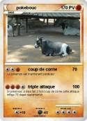 pokebouc