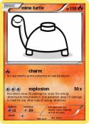 mine turtle