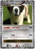 saint Bernard