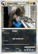 Sniper Kitty
