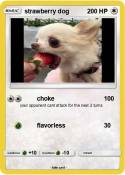 strawberry dog