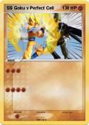 SS Goku v Perfe